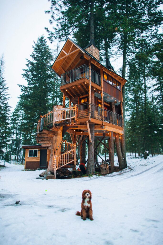 photo d'une cabane dans les arbres